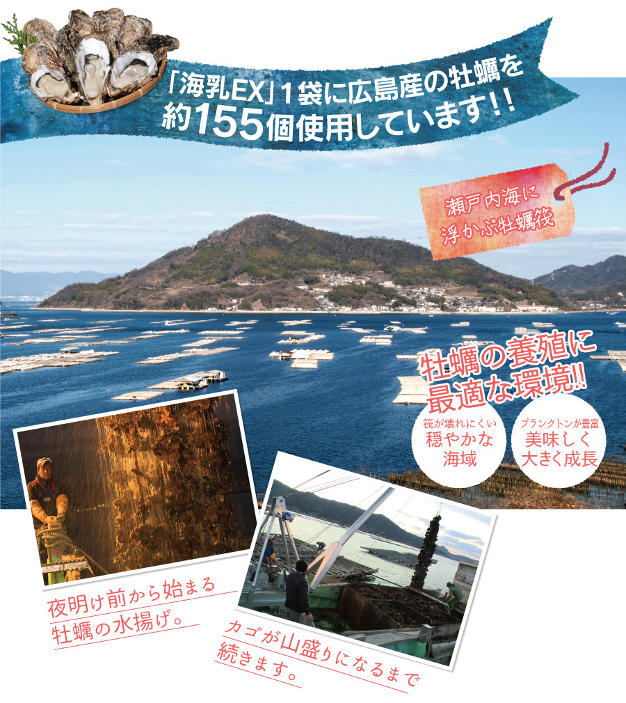 広島産濃縮牡蠣エキス海乳EX