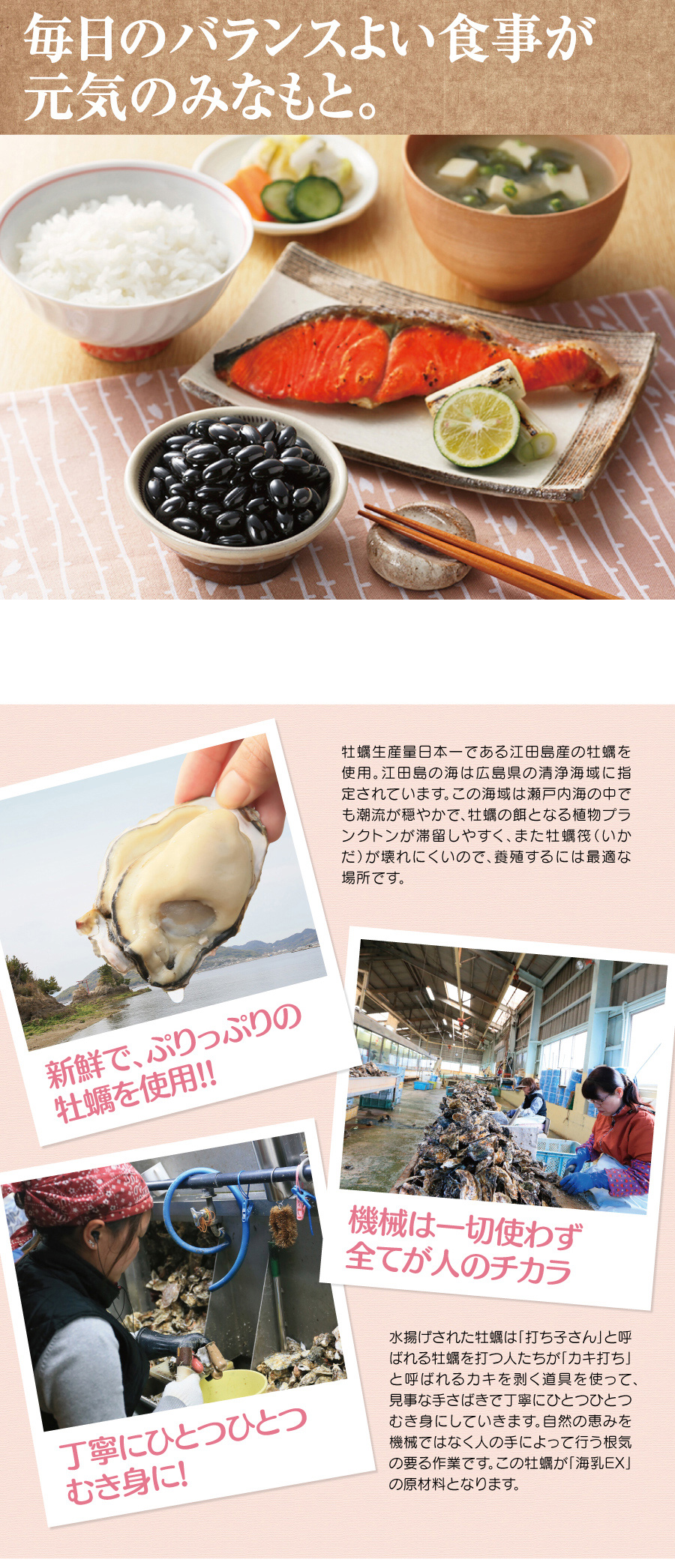 タウリンで肝機能を上げる。広島産牡蠣を使用した海乳EX